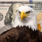 American Debt Guide